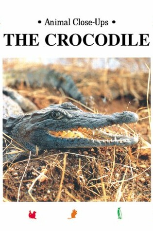 Cover of The Crocodile, Terror of the River