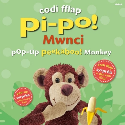 Book cover for Codi Fflap Pi-po! Mwnci / Pop-up Peekaboo! Monkey
