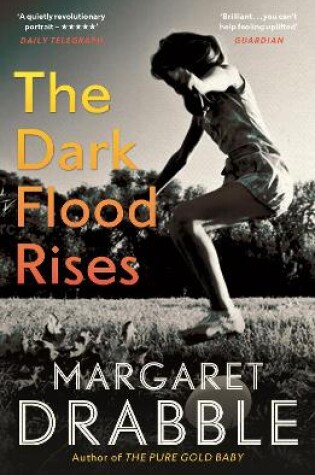 Cover of The Dark Flood Rises