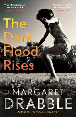 Book cover for The Dark Flood Rises