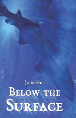 Book cover for Below the Surface