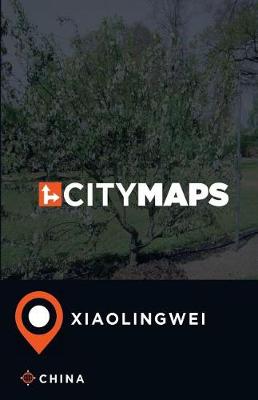 Book cover for City Maps Xiaolingwei China