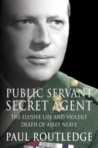 Cover of Public Servant, Secret Agent