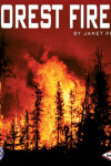 Book cover for Forest Fires