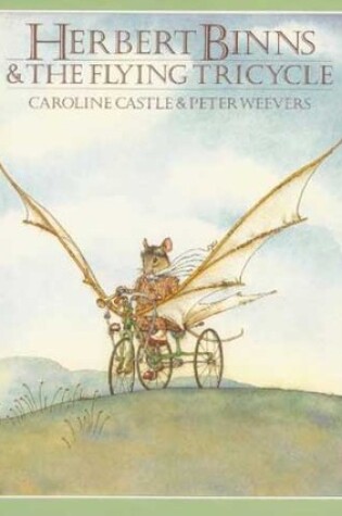 Cover of Castle & Weevers : Herbert Binns & the Flying Tricycle/Hbk