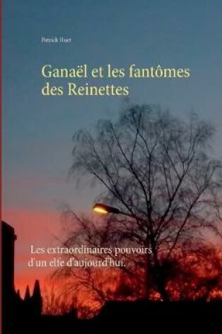 Cover of Ganael et les fantomes des Reinettes