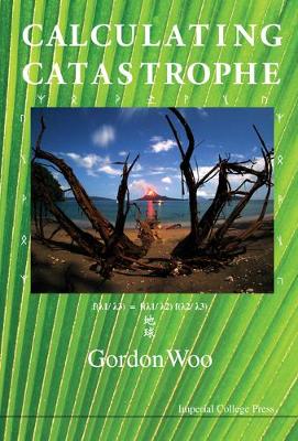 Book cover for Calculating Catastrophe