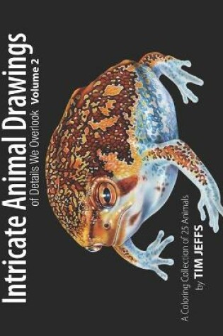 Cover of Intricate Animal Drawings of Details We Overlook