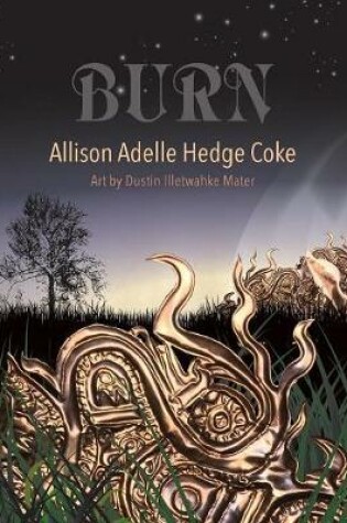 Cover of Burn