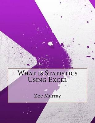 Book cover for What Is Statistics Using Excel