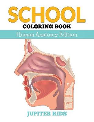 Book cover for School Coloring Book