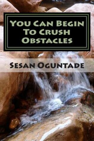 Cover of You Can Begin To Crush Obstacles