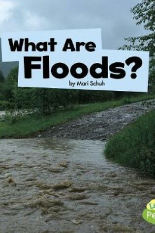 Cover of What are Floods? (Wicked Weather)