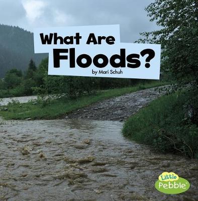 Book cover for What are Floods? (Wicked Weather)