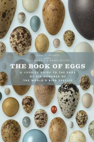 Cover of The Book of Eggs