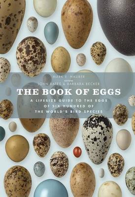 Book cover for The Book of Eggs