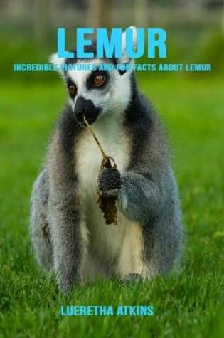 Cover of Lemur