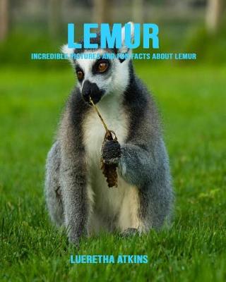 Book cover for Lemur