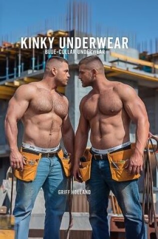 Cover of Kinky Underwear