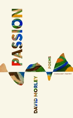 Book cover for Passion