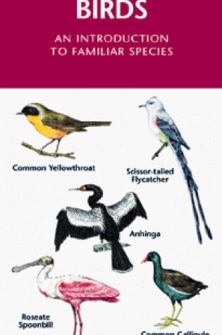 Cover of Florida Birds
