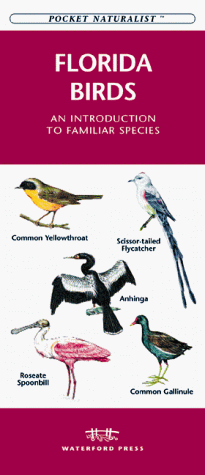 Cover of Florida Birds