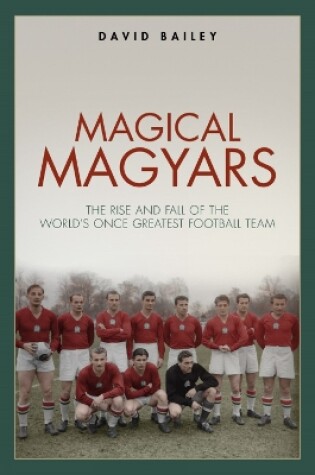 Cover of Magical Magyars