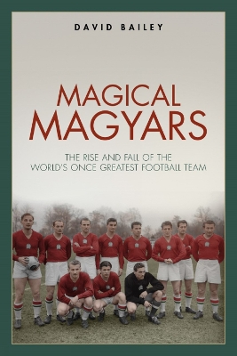 Book cover for Magical Magyars