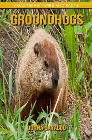 Cover of Groundhogs