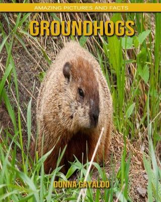 Book cover for Groundhogs