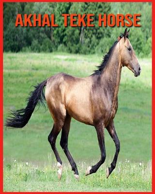 Book cover for Akhal Teke Horse