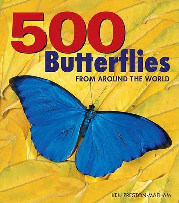 Book cover for 500 Butterflies