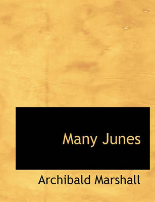 Book cover for Many Junes