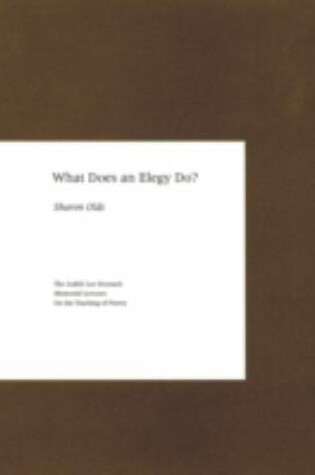 Cover of What Does an Elegy Do?