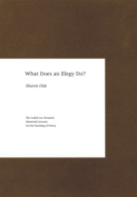 Book cover for What Does an Elegy Do?