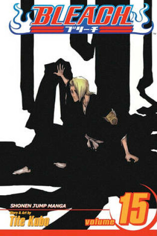Cover of Bleach, Volume 15