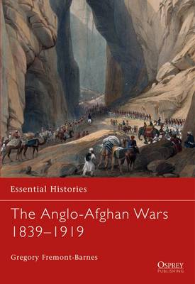 Book cover for The Anglo-Afghan Wars 1839-1919