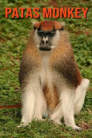 Cover of Patas Monkey