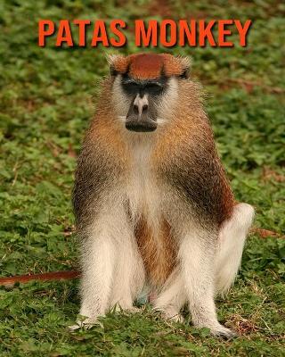 Book cover for Patas Monkey