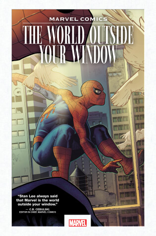 Cover of Marvel Comics: The World Outside Your Window