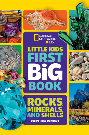 Cover of Little Kids First Big Book of Rocks, Minerals and Shells