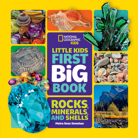 Cover of Little Kids First Big Book of Rocks, Minerals and Shells
