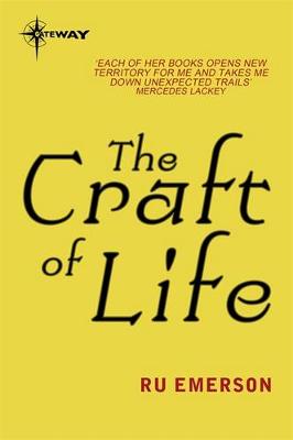 Book cover for The Craft of Light