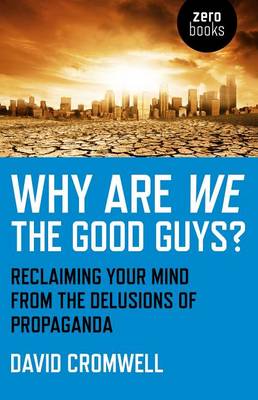 Book cover for Why Are We the Good Guys?