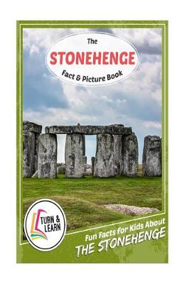 Book cover for The Stonehenge Fact and Picture Book