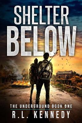 Book cover for Shelter Below