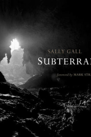 Cover of Subterranea