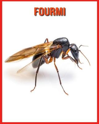 Book cover for Fourmi