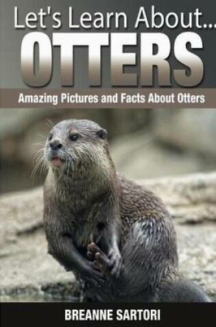 Cover of Otters