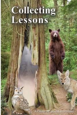 Cover of Collecting Lessons